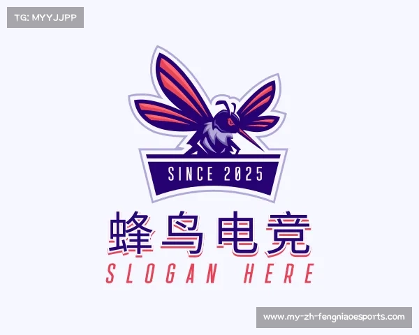 了解蜂鸟电竞
